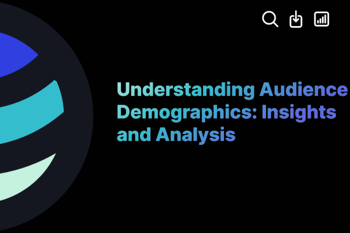 Understanding Audience Demographics