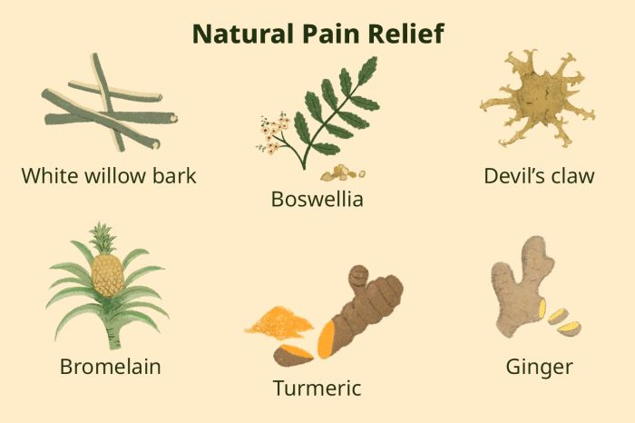 Herbs for pain relief