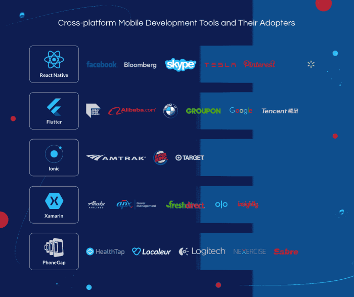 Developing a Cross-Platform Strategy