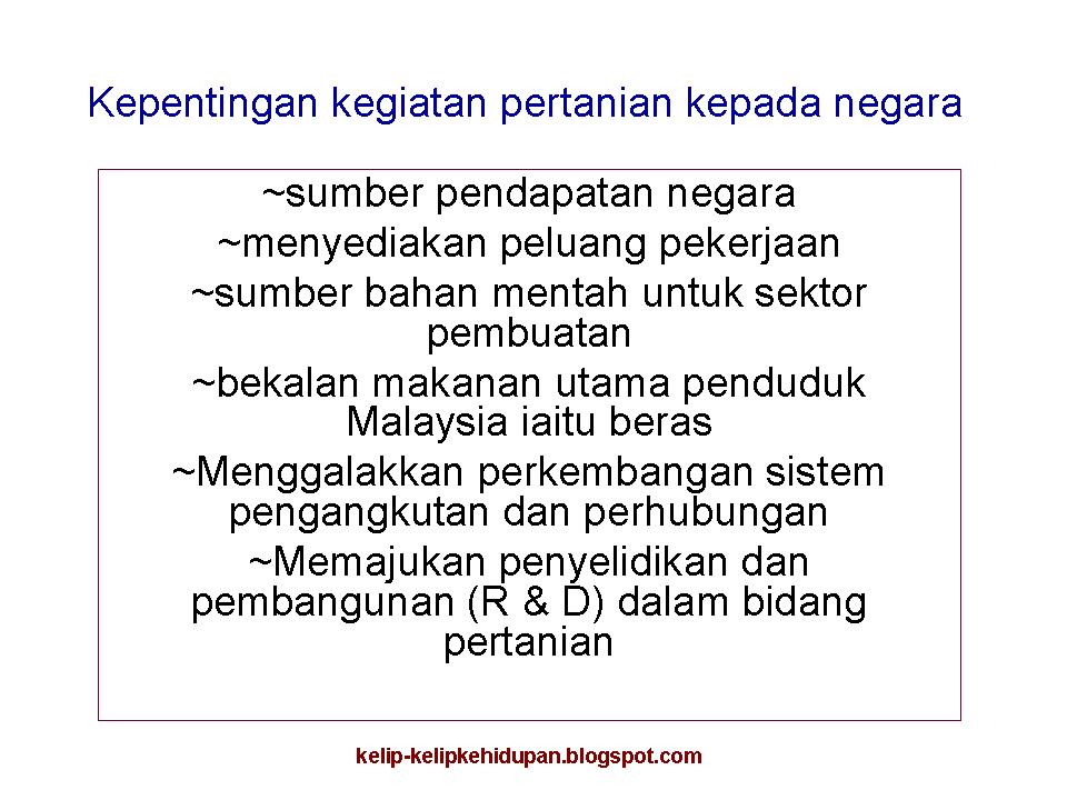 Kepentingan pertanian kepada negara kelip kelip kehidupan sumbangan