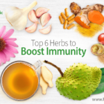 Herbs for boosting immune system